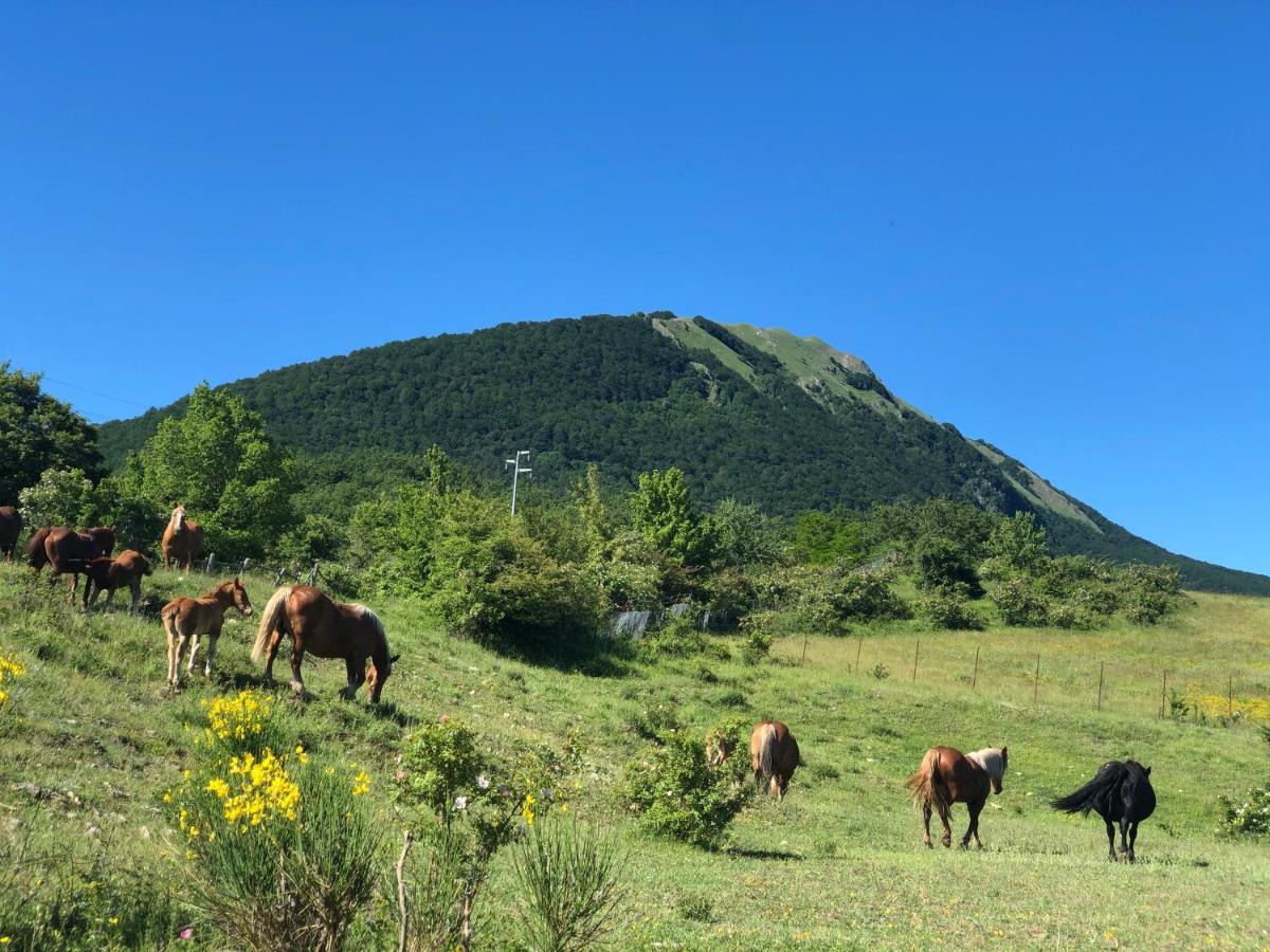 Hotel Pietrapanna Calvello Dış mekan fotoğraf