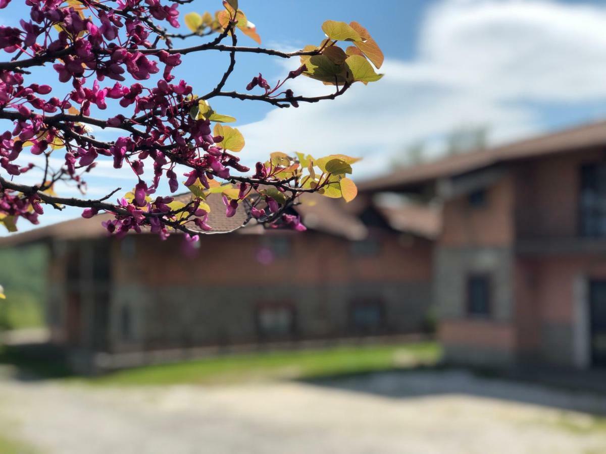 Hotel Pietrapanna Calvello Dış mekan fotoğraf
